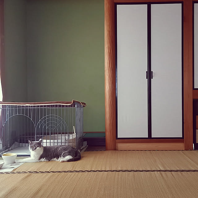 rhuさんの実例写真
