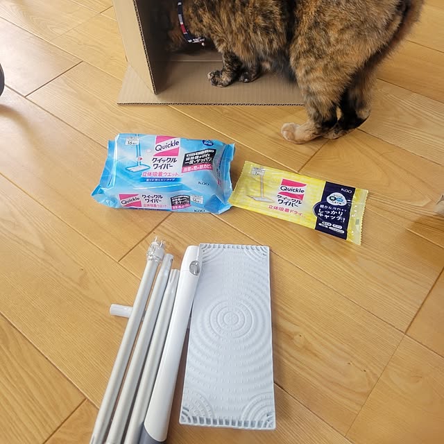 natuさんの部屋