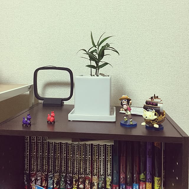 実例写真