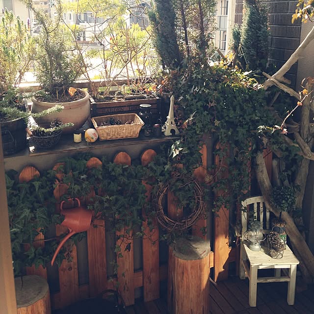 chamoru.ynssさんの実例写真