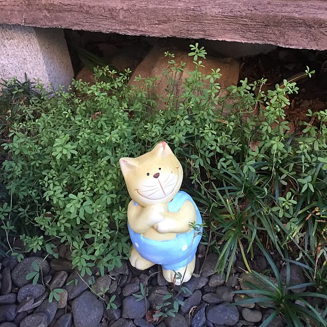 takakoさんの実例写真