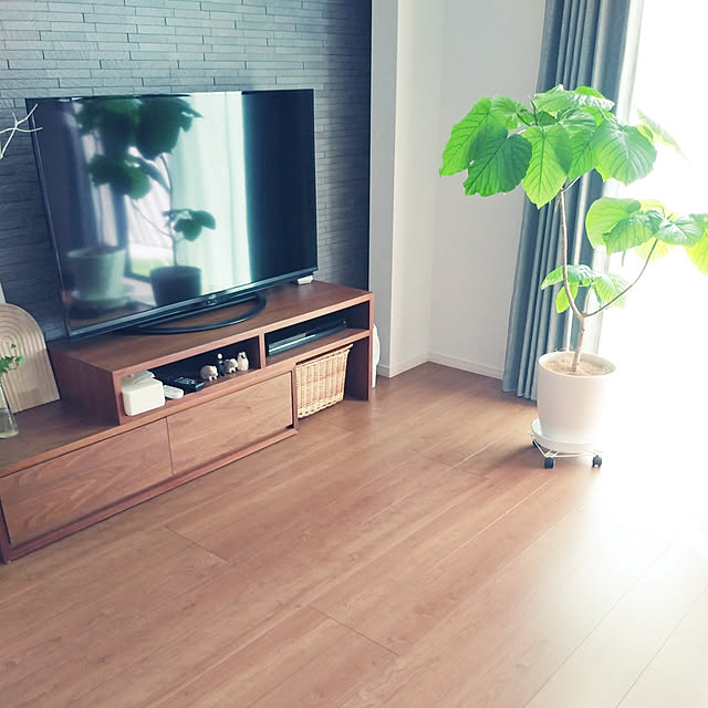 tan5さんの実例写真