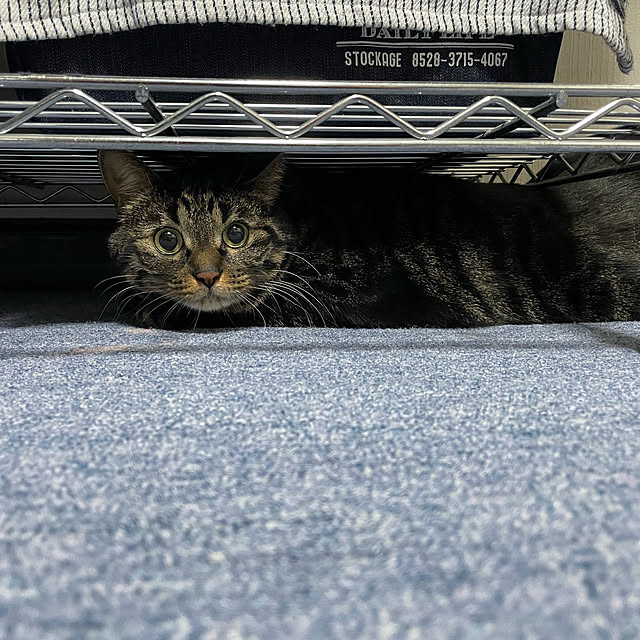 momocchiさんの部屋