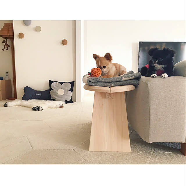 haruhinaさんの実例写真