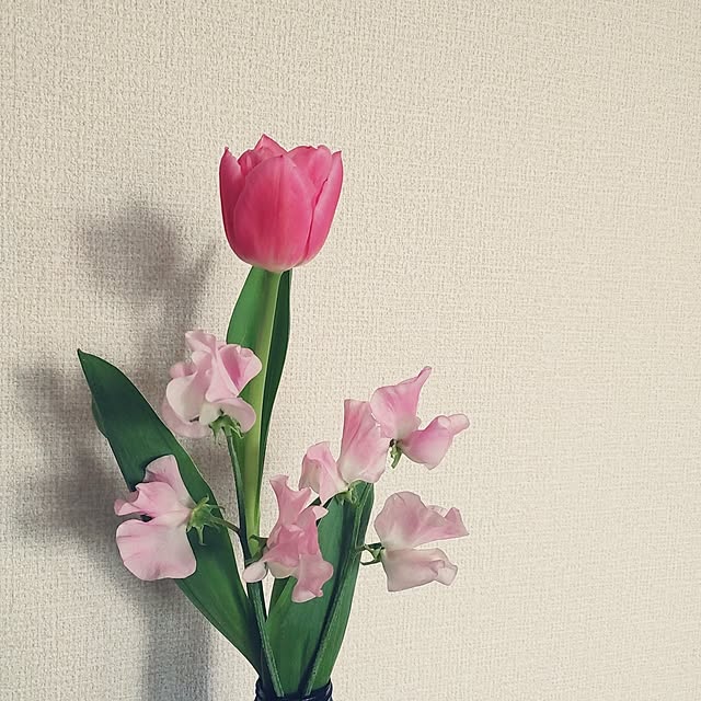 aozoraさんの実例写真
