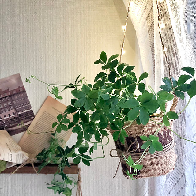 M_Mさんの部屋