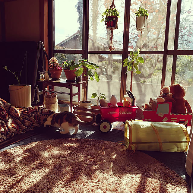 fukuさんの実例写真