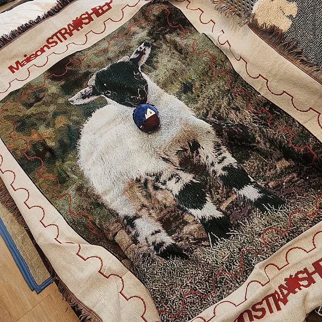 oimo_miniさんの実例写真