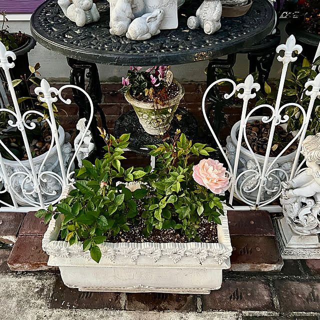 AYUKOさんの部屋