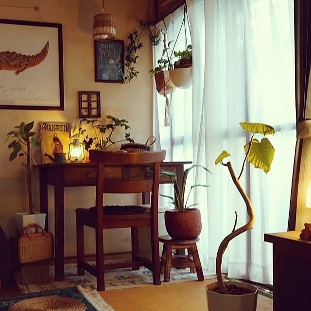 fukuさんの実例写真