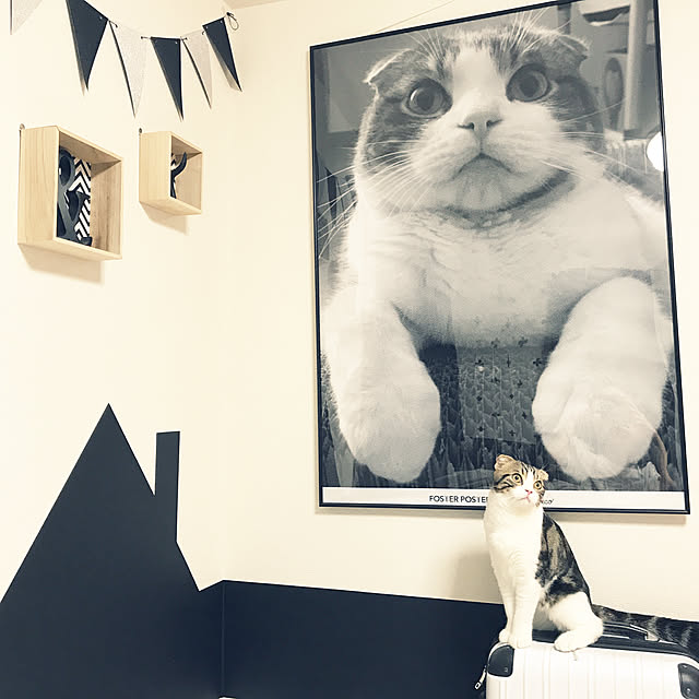 tansukeさんの実例写真
