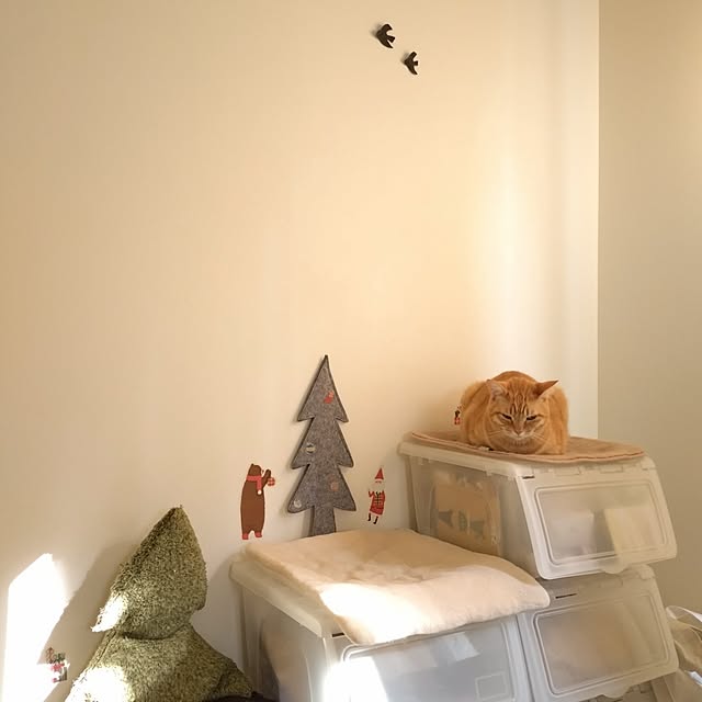 mayutan.さんの実例写真