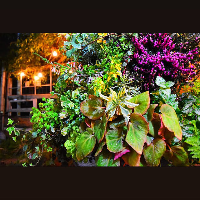 GreenWorksさんの実例写真