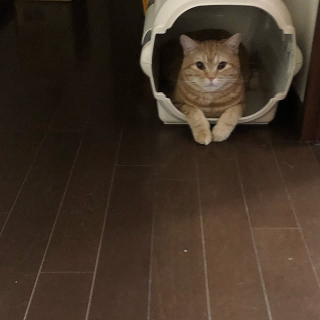 Atelier.mさんの実例写真