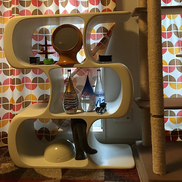 ikettenさんの実例写真