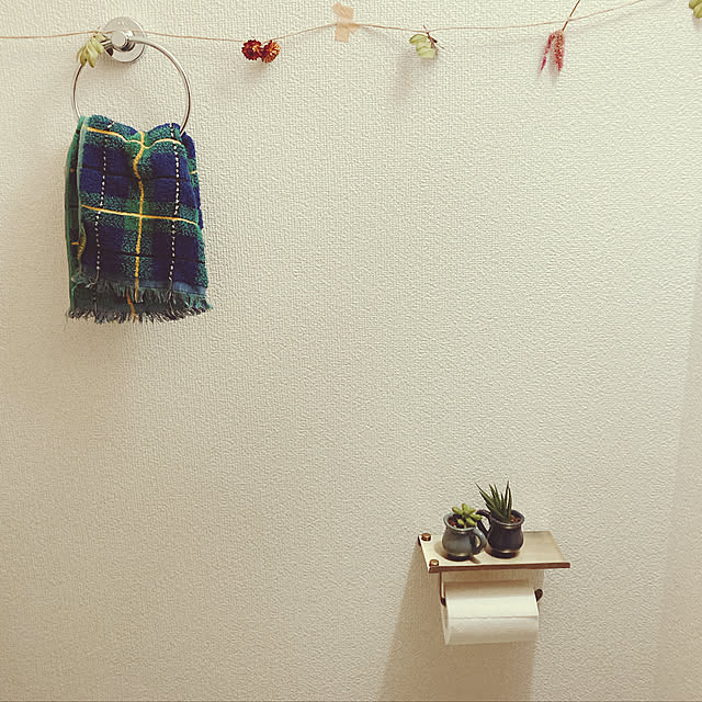 Torinecoさんの実例写真
