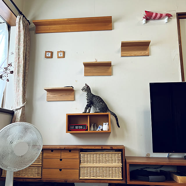 kuzumeganeさんの実例写真