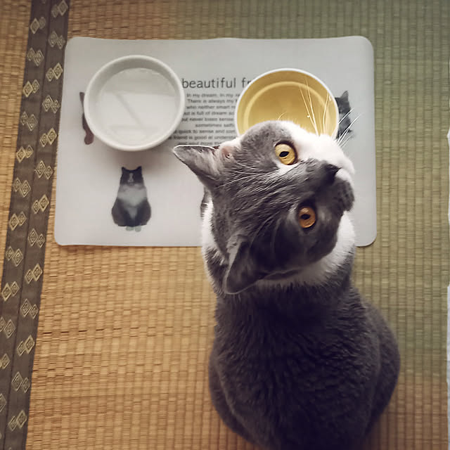 rhuさんの実例写真