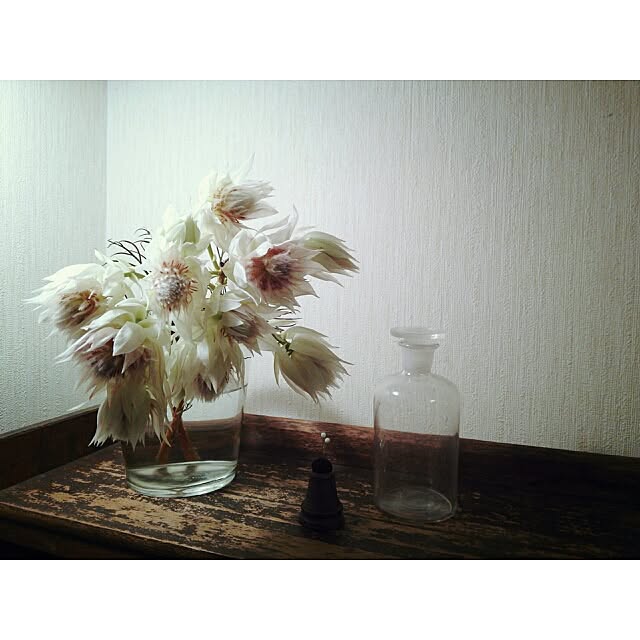cata_coto_さんの実例写真