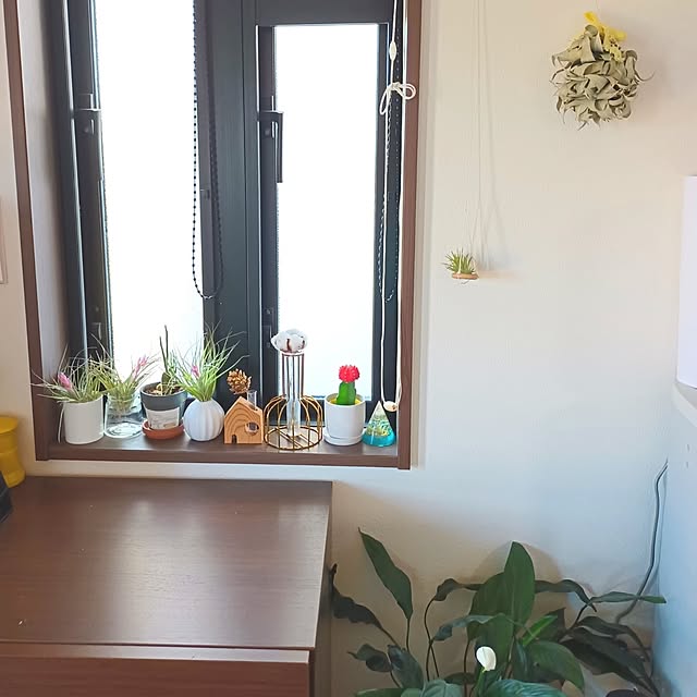 tomo5さんの実例写真