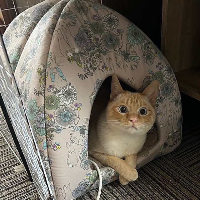 marimoさんの実例写真