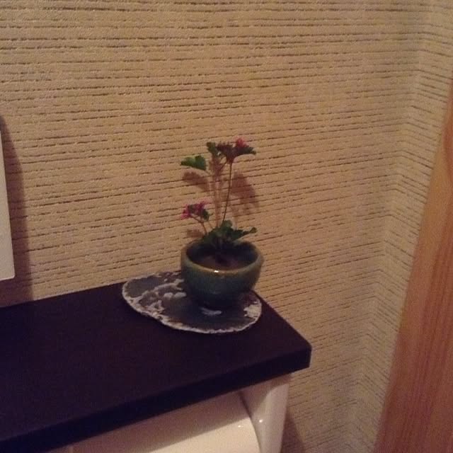 Kenroさんの実例写真
