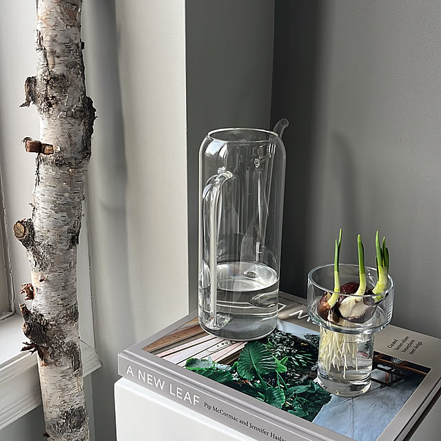 cocoarashさんの実例写真