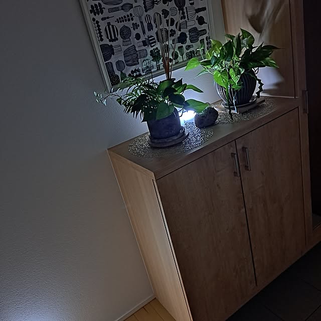 mihiroさんの実例写真