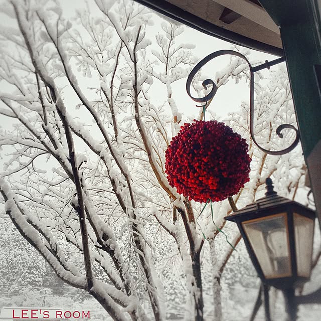 LEEさんの実例写真