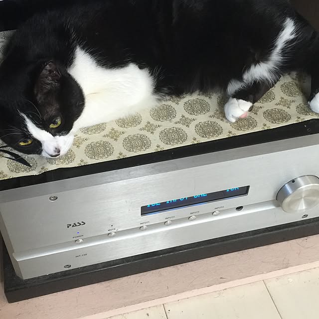 kimishigureさんの実例写真