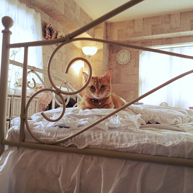 fu-ka24さんの実例写真