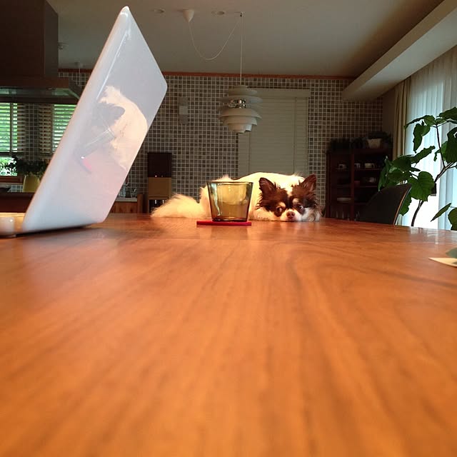 hana729さんの実例写真