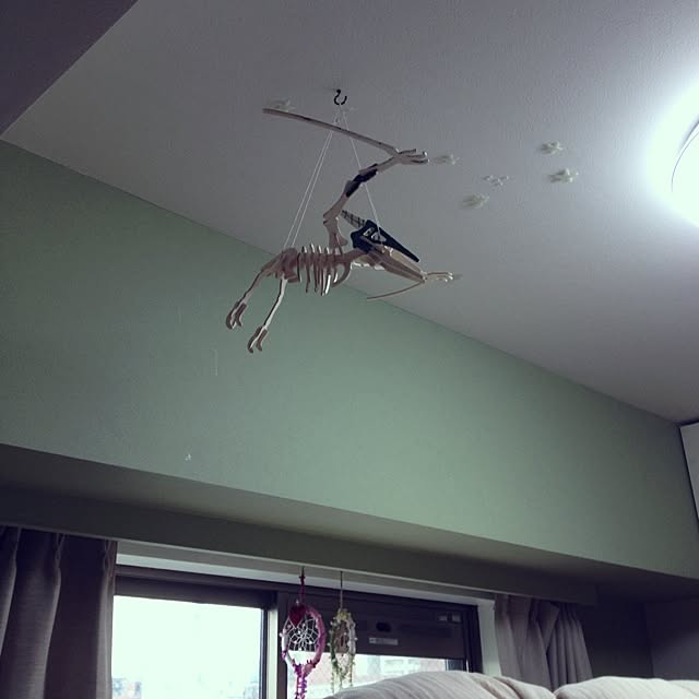 chi-chi-さんの実例写真