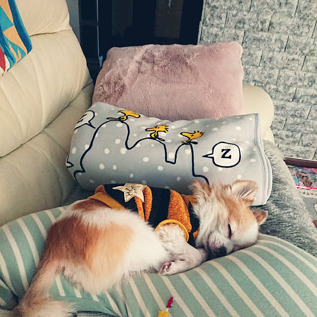 porinさんの実例写真