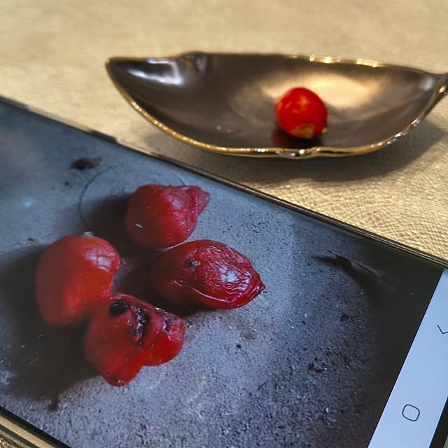 Rubiconさんの実例写真