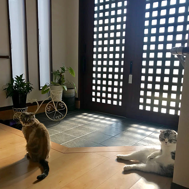 Dahliaさんの実例写真