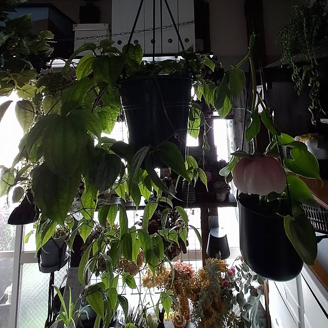 noaさんの部屋