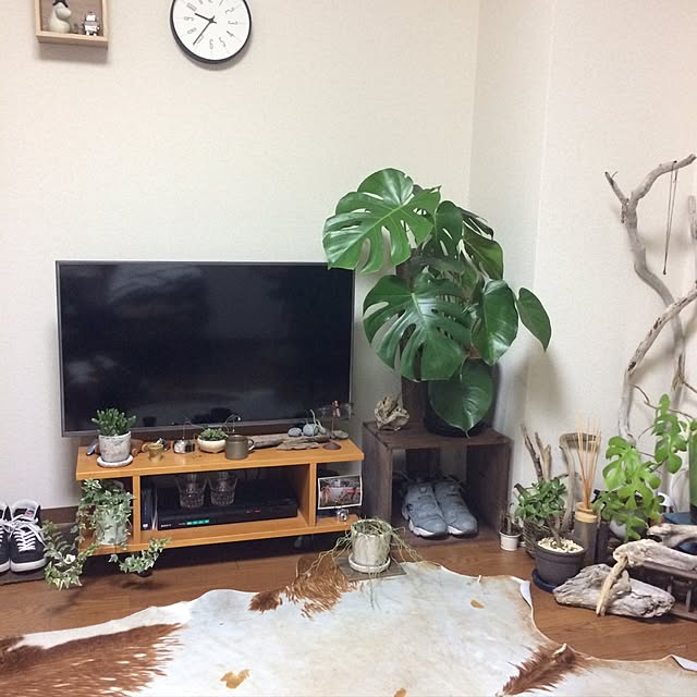 実例写真