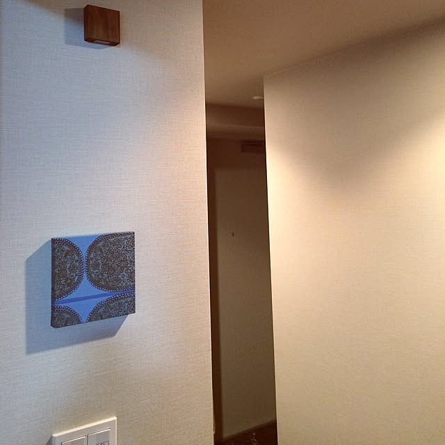 skyblueさんの実例写真