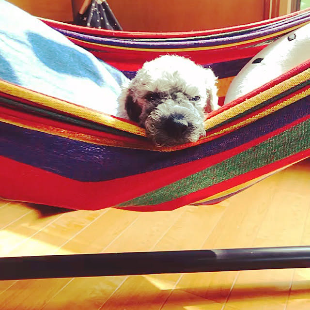 mifuさんの実例写真