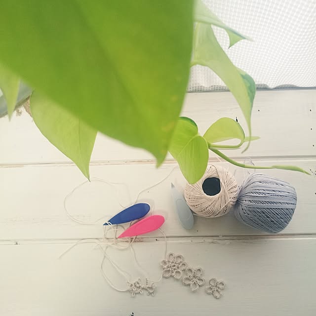 miho.okuさんの実例写真