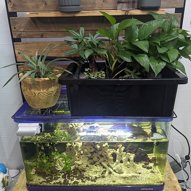 chachamaruさんの部屋