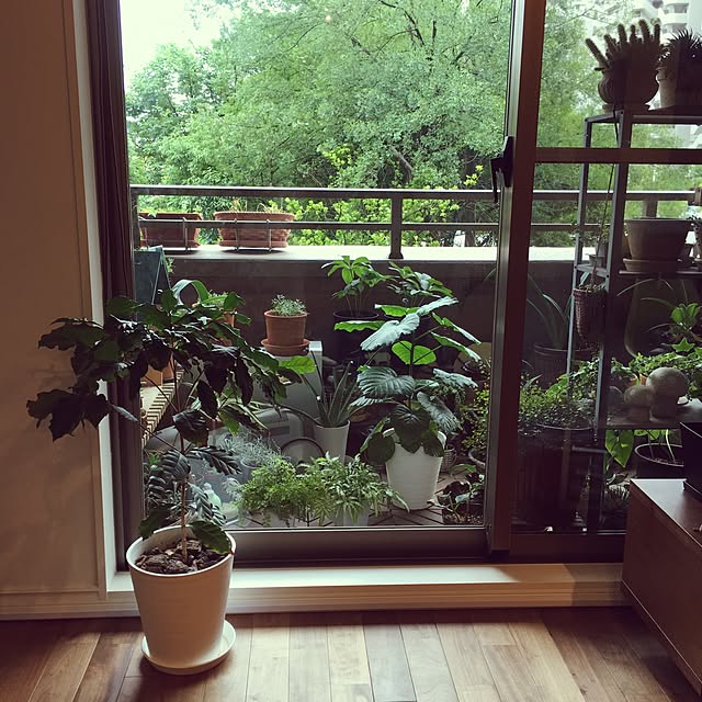 kan2さんの実例写真