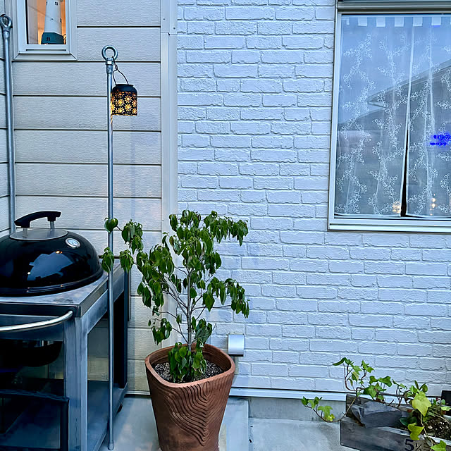 mymiさんの部屋