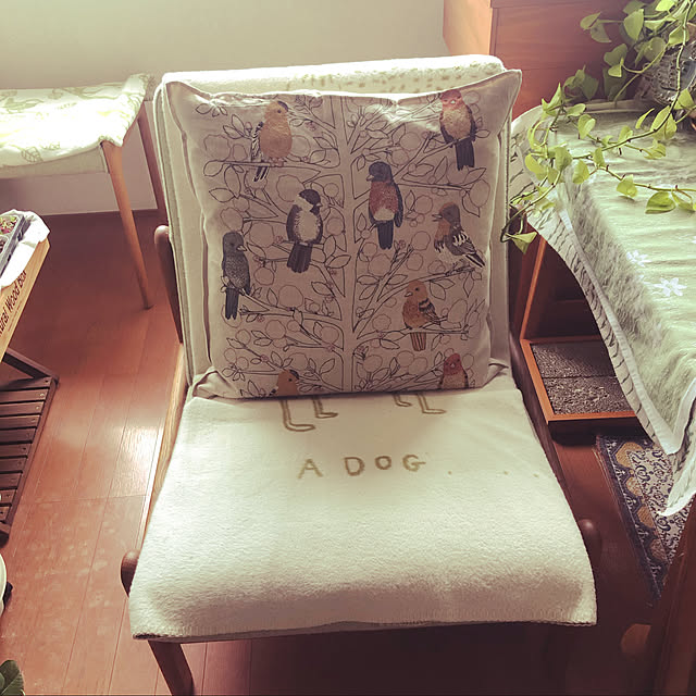 uchidaizuさんの実例写真