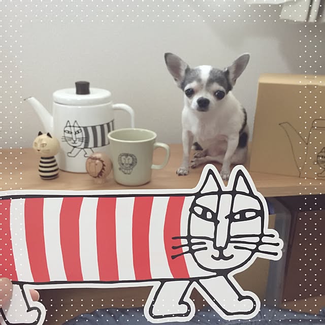 Emiさんの実例写真
