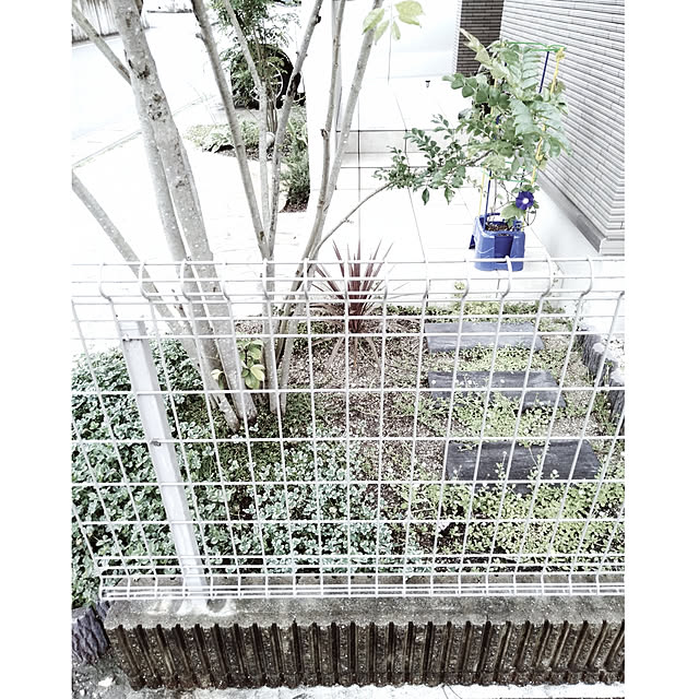 kodaminさんの実例写真