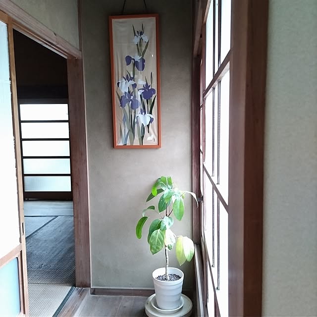 kuririnmamaさんの部屋