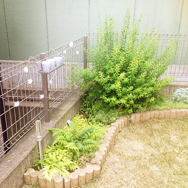 ariさんの実例写真