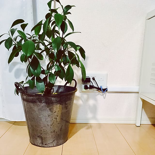 chihiroさんの実例写真